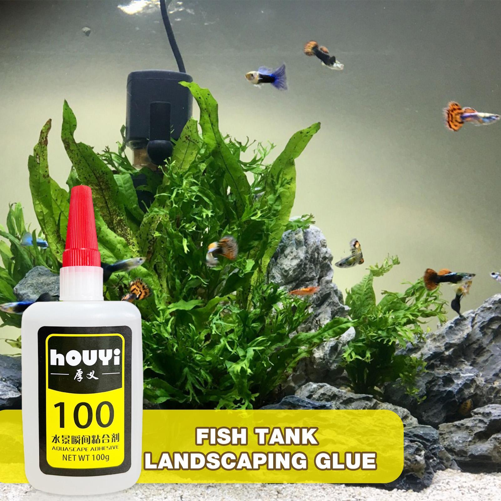 Pegamento instantáneo transpar - Aquarium Planted Aquarium reseña y precio