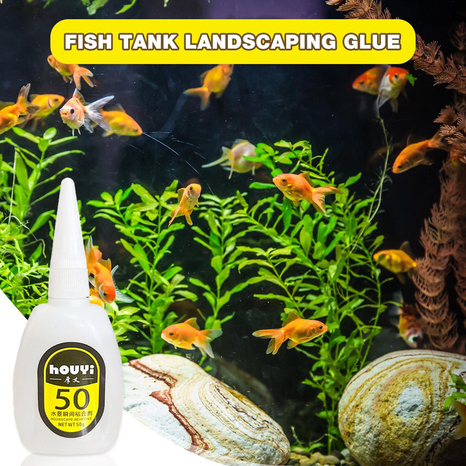 Pegamento instantáneo transpar - Aquarium Planted Aquarium reseña y precio