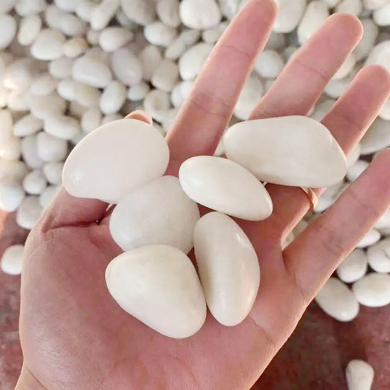 Piedras de río pulidas blancas - Aquarium Sand White reseña y precio