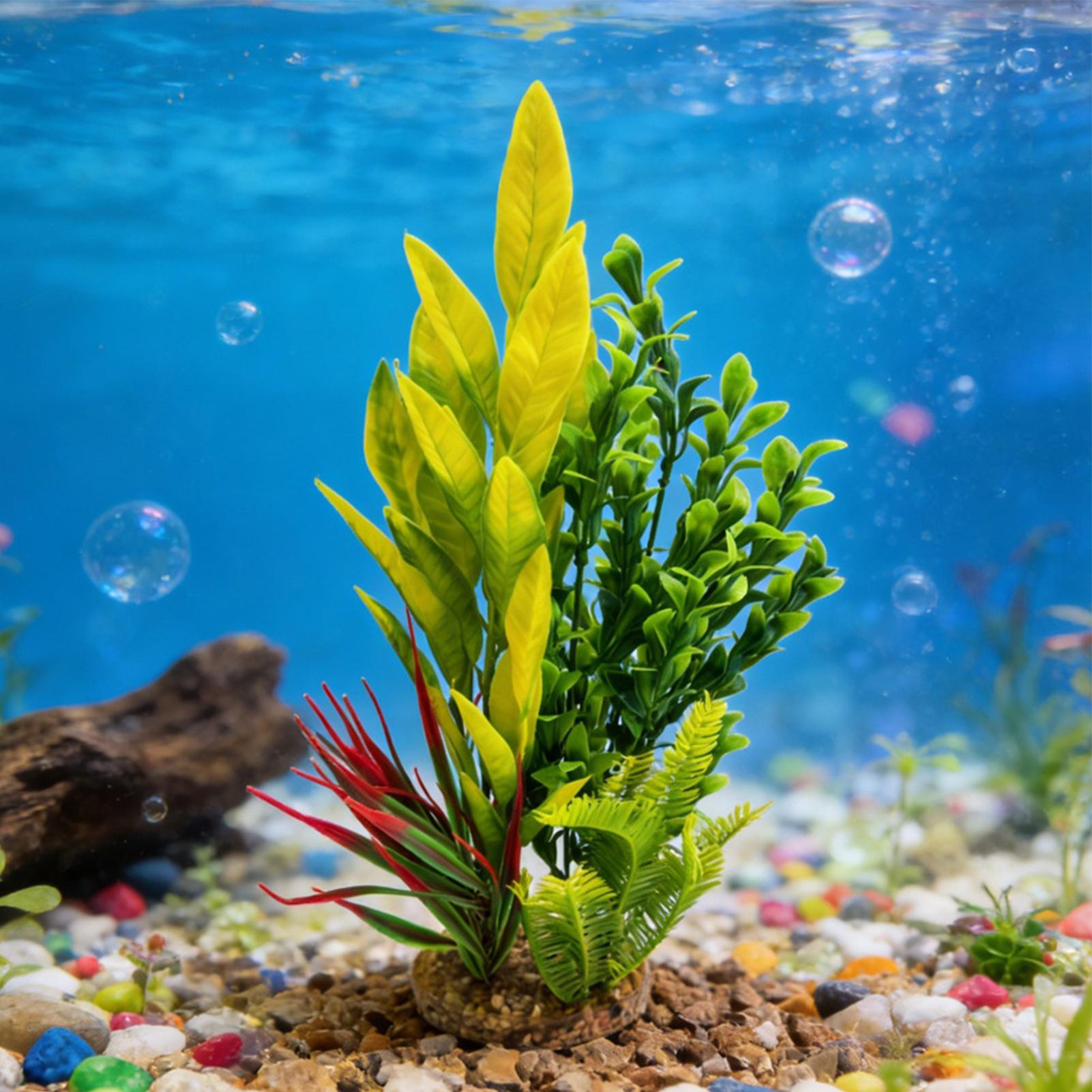 Plantas Artificiales para Acua - Planted Aquarium For Beginners reseña y precio