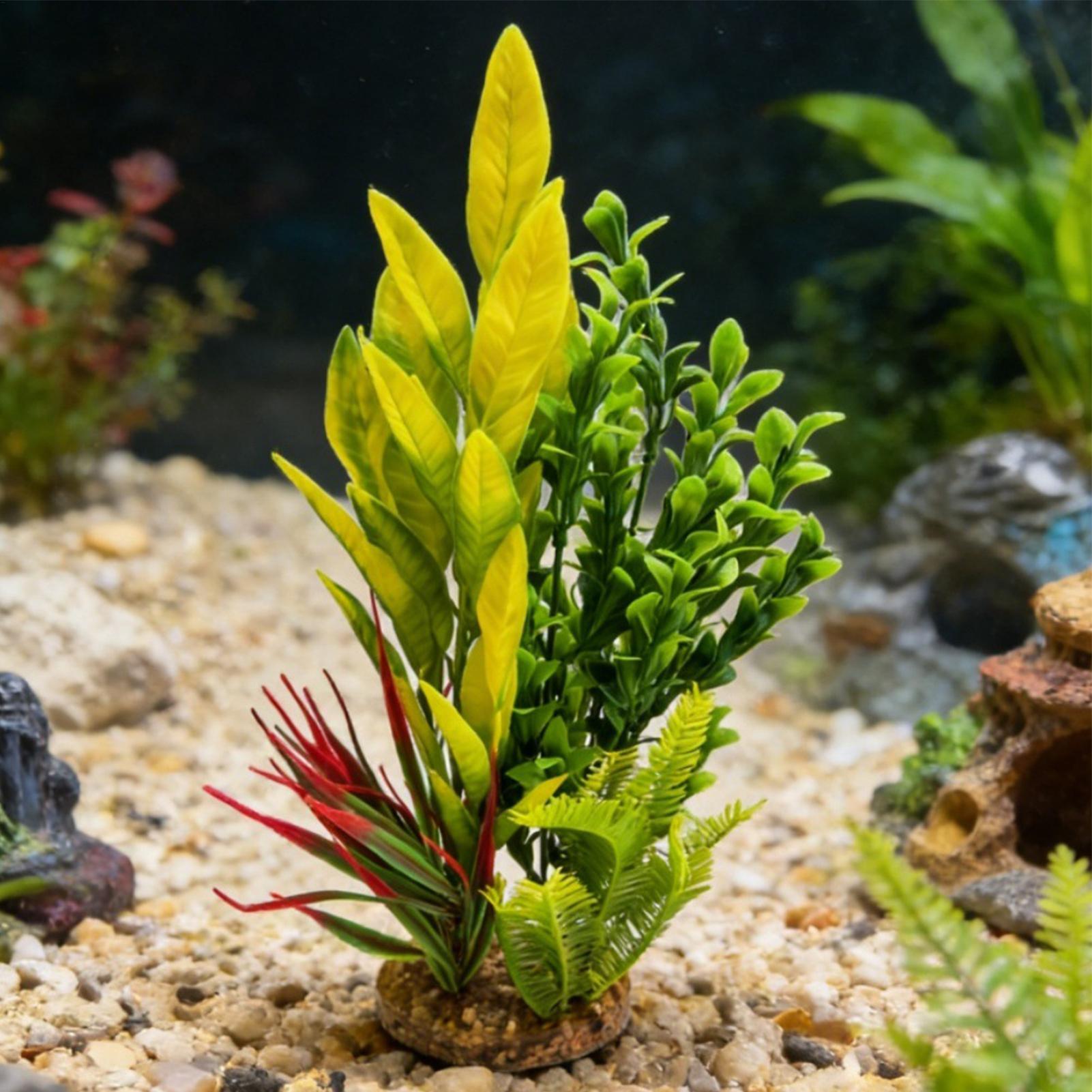 Plantas Artificiales para Acua - Planted Aquarium For Beginners reseña y precio