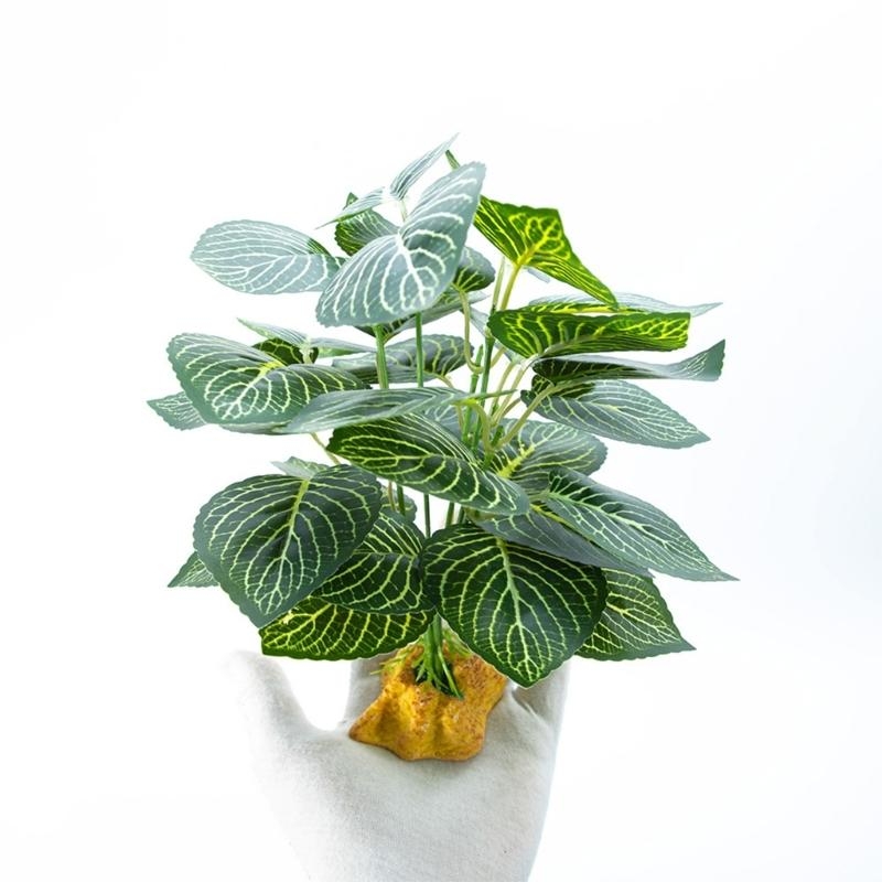 Aquarios peces planta colgante - Planted Aquarium With Fish reseña y precio