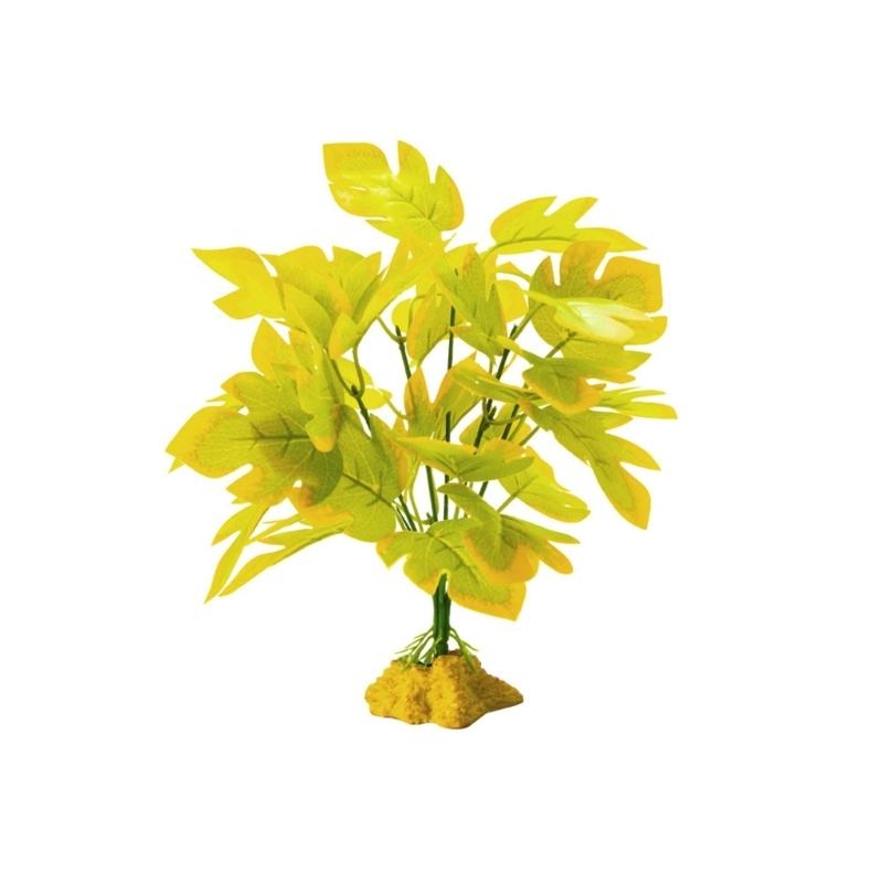 Aquarios peces planta colgante - Planted Aquarium With Fish reseña y precio