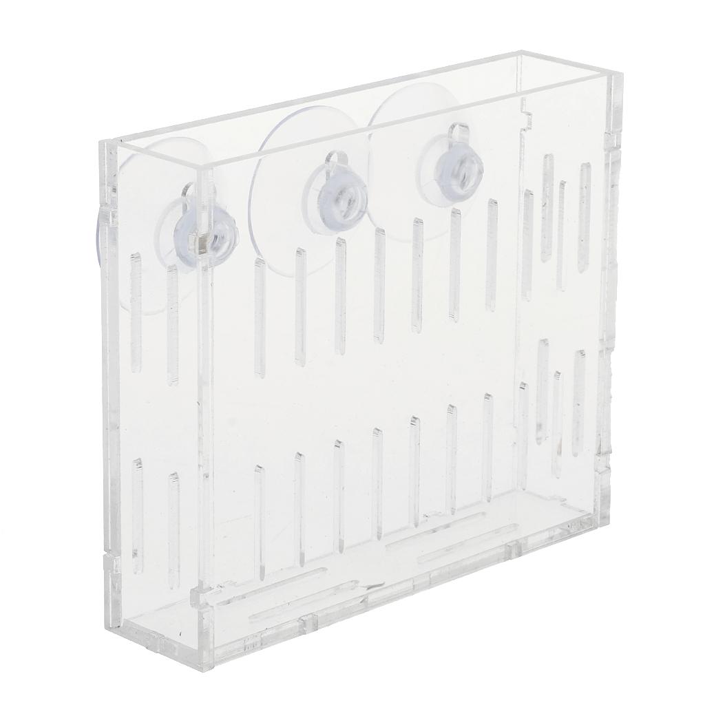 Soporte para Plantas Acuáticas - Aquarium Planted Wall reseña y precio