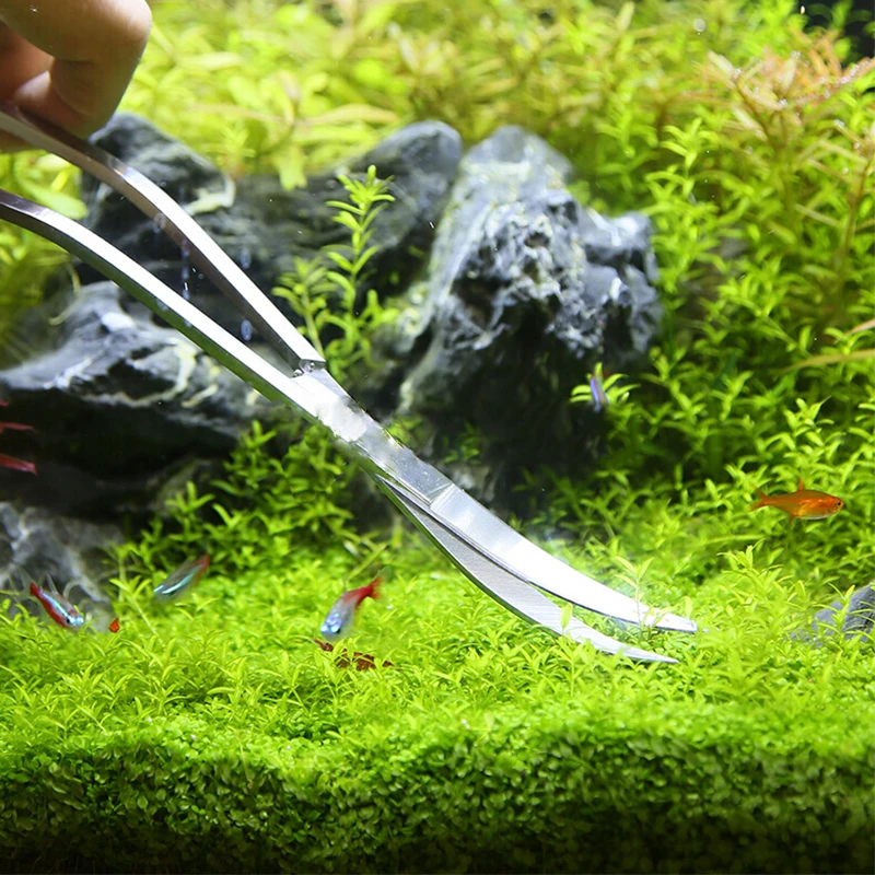 Herramientas de tijera para ac - Aquarium Plant Grass reseña y precio