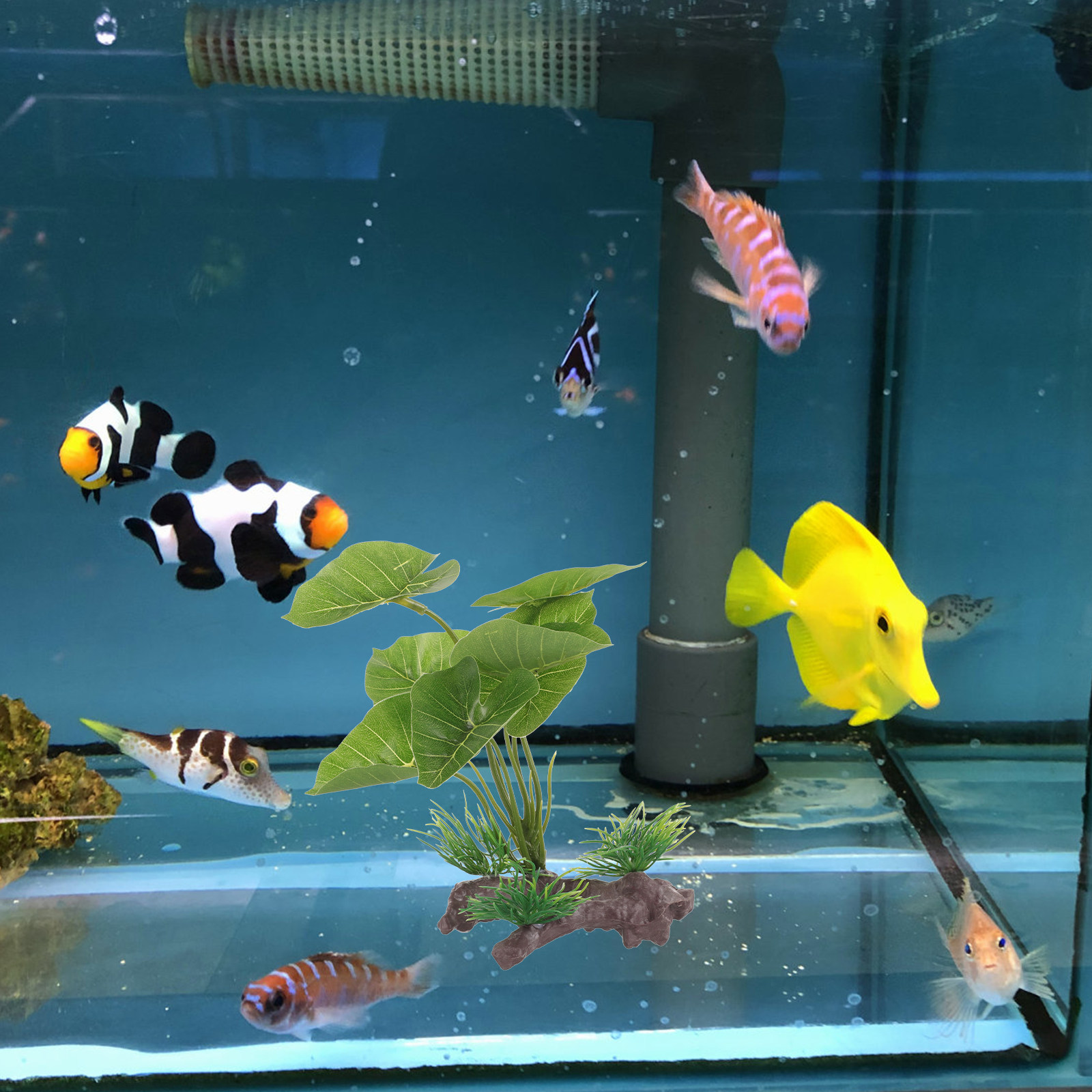 Plantas de Plástico Realistas  - Planted Aquarium Care reseña y precio