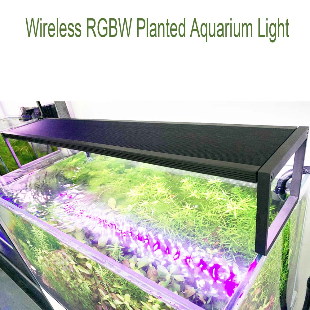 Lámpara LED para acuario plant - Aquarium Plant Grass reseña y precio