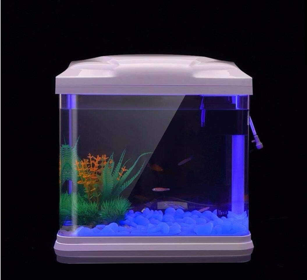 Rocas para pecera, guijarros a - Planted Aquarium With Fish reseña y precio