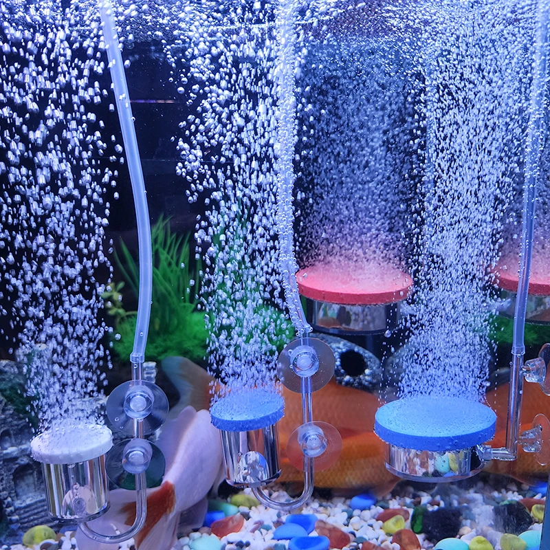 Bomba de aire acrílica de alta - Aquarium Sand White reseña y precio
