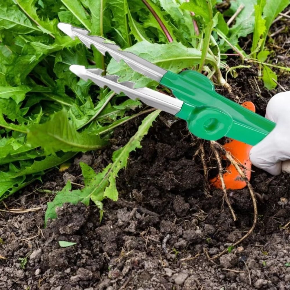 Pinzas de Jardinería de Acero  - Planted Clip Tweezers reseña y precio