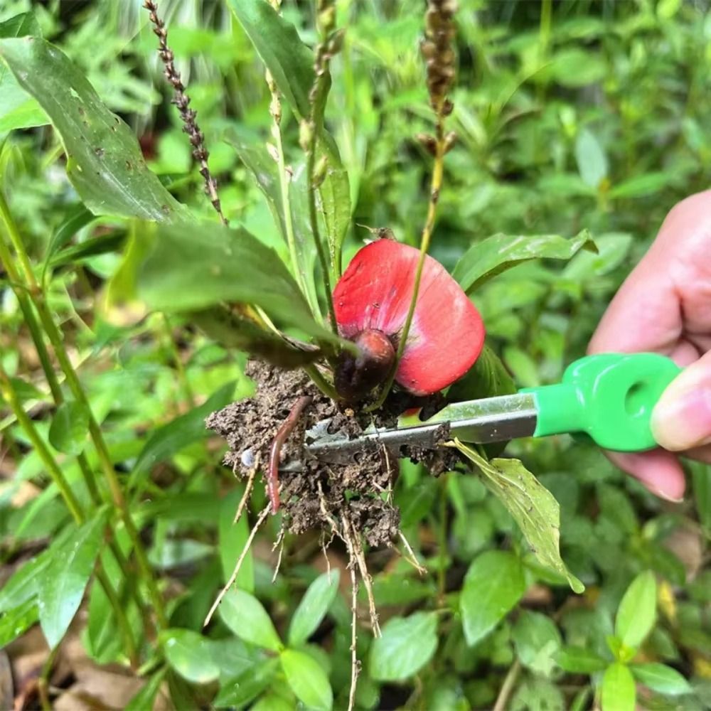 Pinzas de Jardinería de Acero  - Planted Clip Tweezers reseña y precio