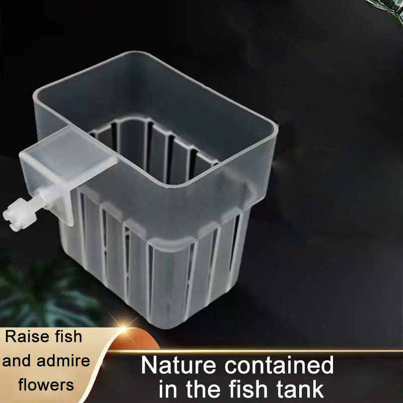 Cesta hidropónica transparente - Aquarium Planted Wall reseña y precio