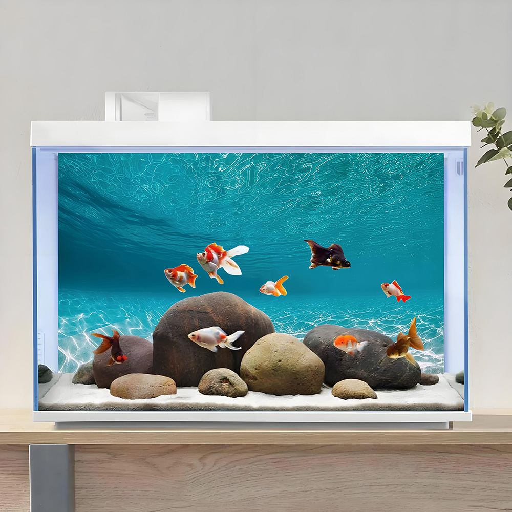 Arena blanca brillante, pintur - Aquarium Sand White reseña y precio