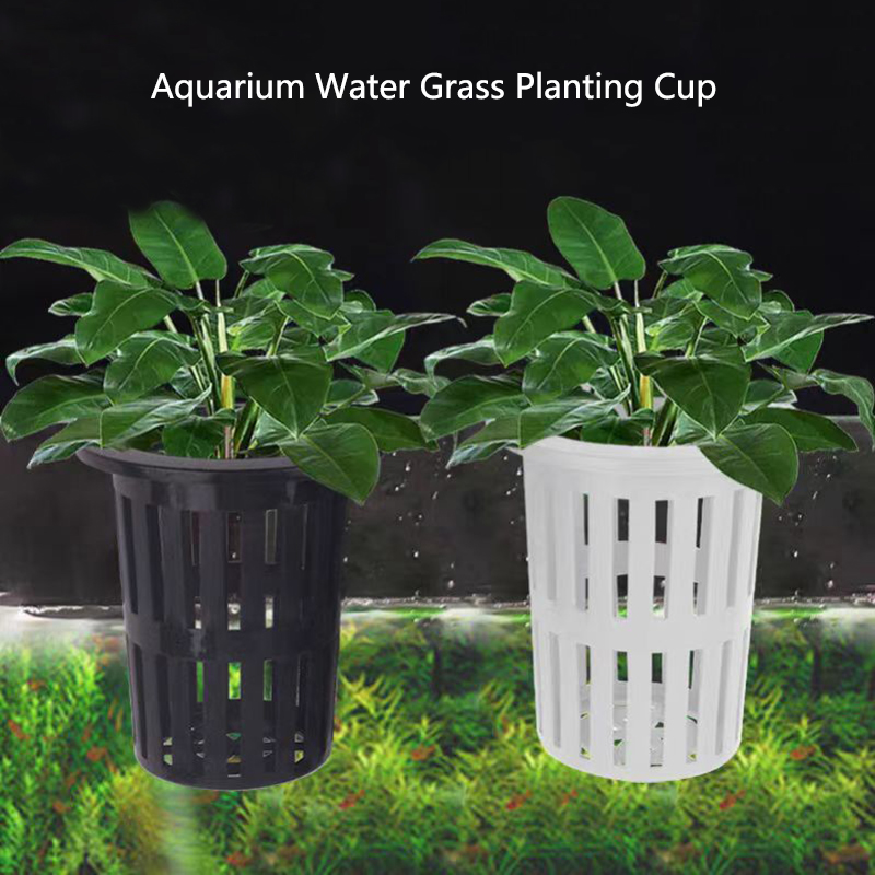 Cesta para plantas de acuario, - Aquarium Planted Wall reseña y precio