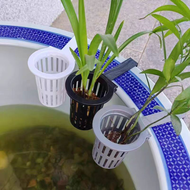 Cesta para plantas de acuario, - Aquarium Planted Wall reseña y precio