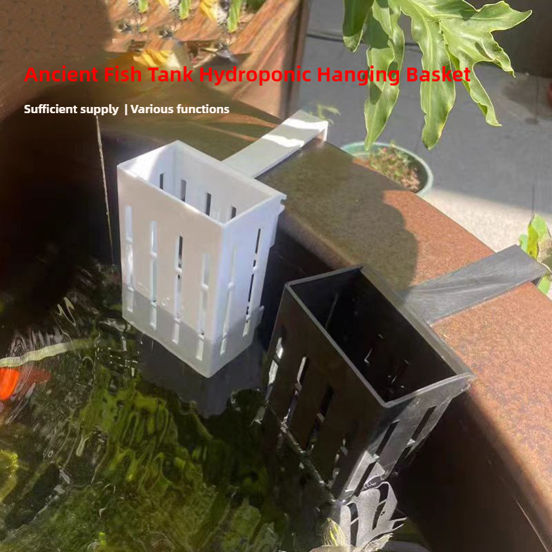 Cesta para plantas de acuario, - Aquarium Planted Wall reseña y precio