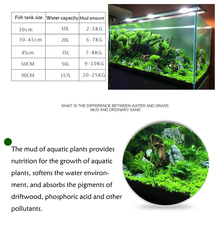 Semillas de plantas de Acuario - Planted Aquarium With Fish reseña y precio