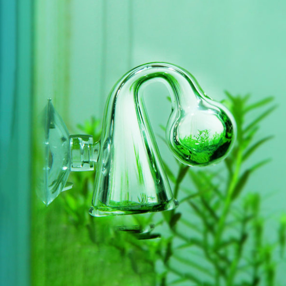 Comprobador de caída de vidrio - Aquarium Plant Nursery reseña y precio