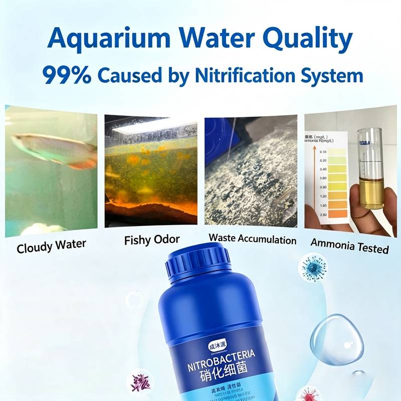 Combo de Cuidado para Acuarios - Planted Aquarium Care reseña y precio