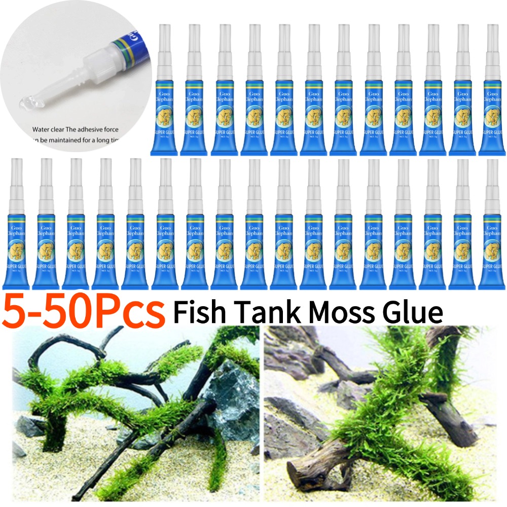 50-5 uds pecera paisajismo mus - Aquarium Plant Gel reseña y precio