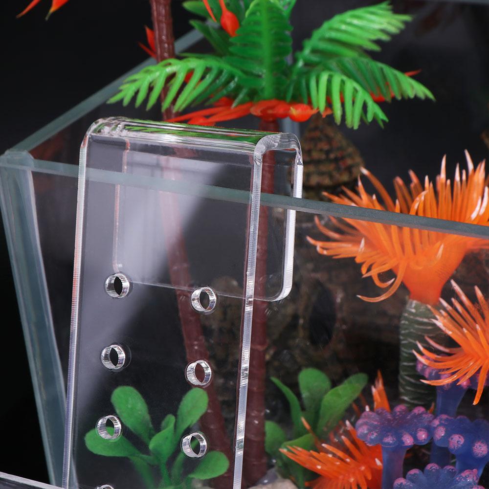 Maceta colgante de pared para  - Aquarium Planted Wall reseña y precio
