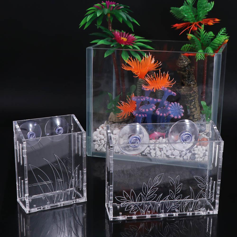 Maceta colgante de pared para  - Aquarium Planted Wall reseña y precio