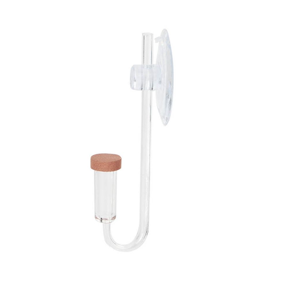 Mini pecera acrílica, planta v - Planted Aquarium With Fish reseña y precio