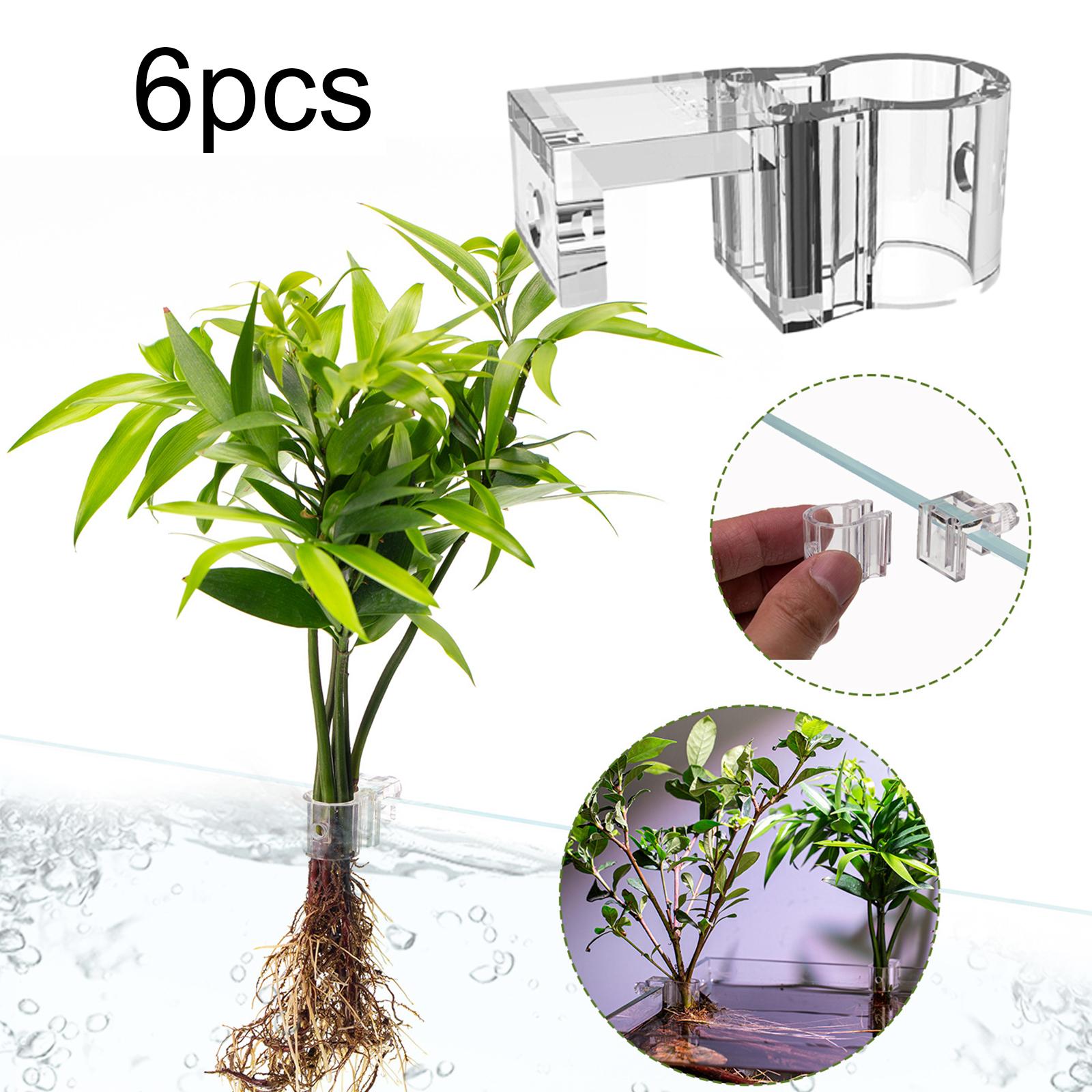 Soporte Transparente y Durader - Aquarium Planted Wall reseña y precio