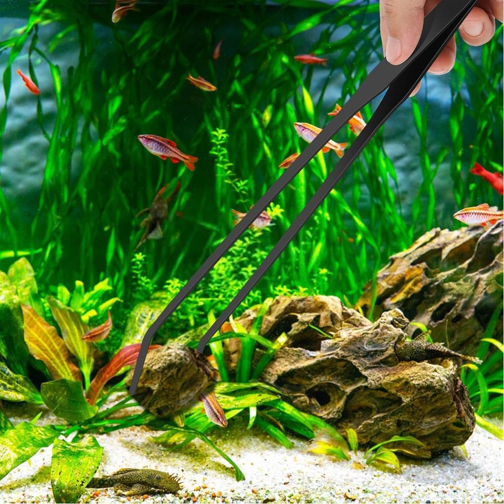 Pinzas Largas de Acero Inoxida - Planted Clip Tweezers reseña y precio