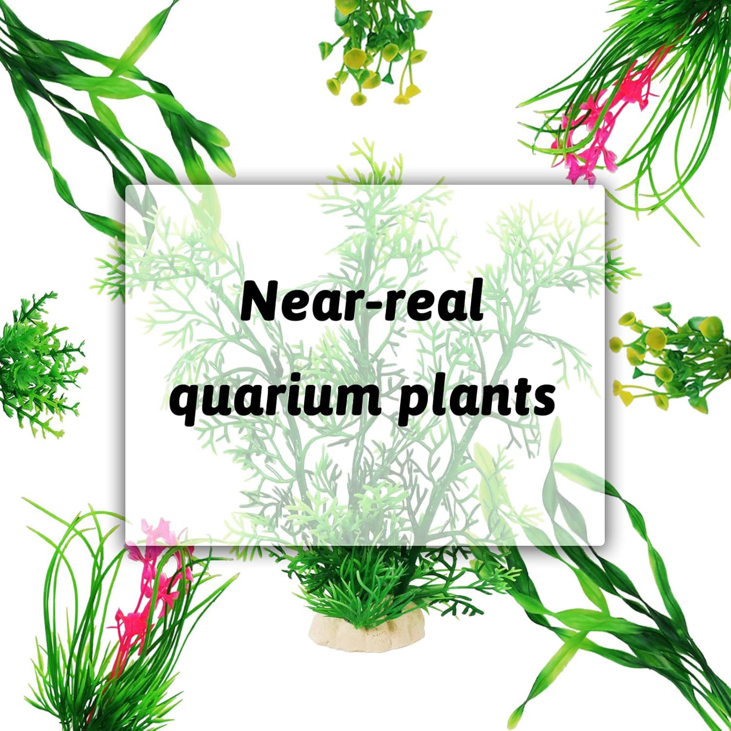 Juego de plantas artificiales  - Planted Aquarium For Beginners reseña y precio