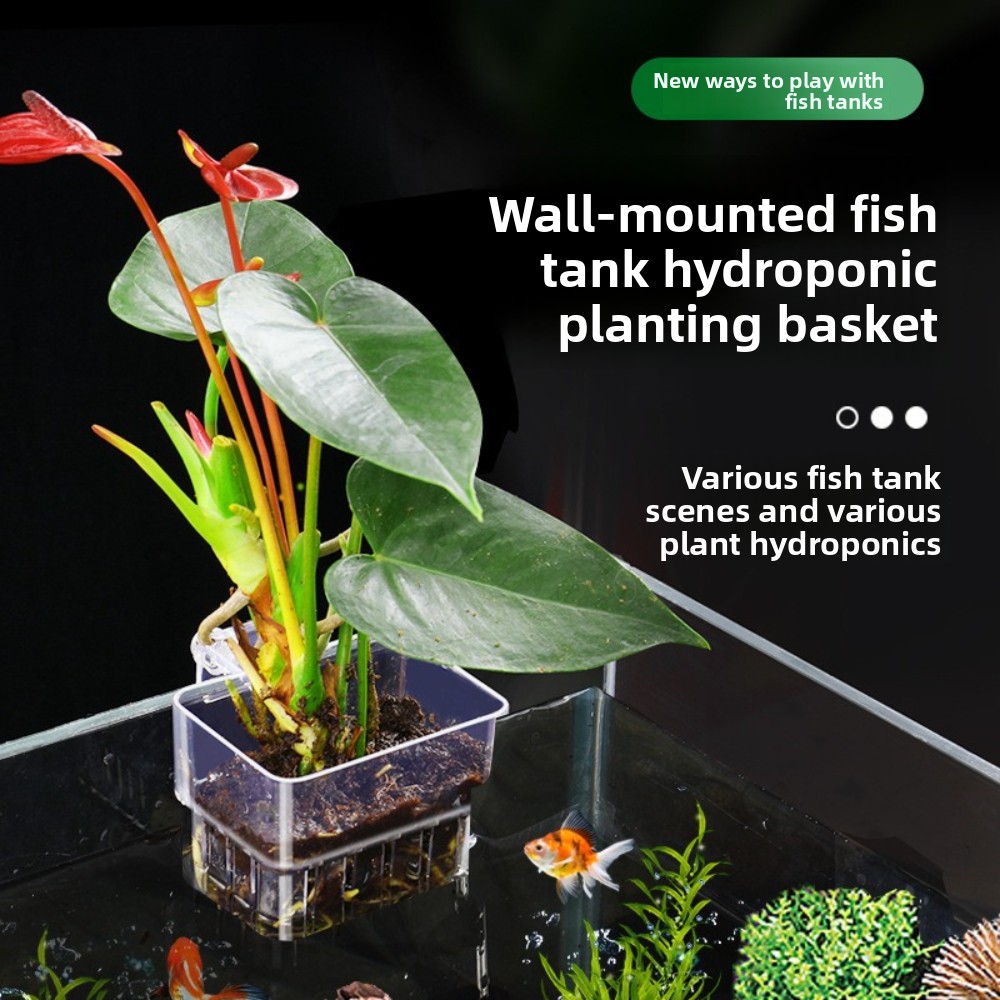 Cesta de Cultivo Hidropónico p - Aquarium Plant Grass reseña y precio