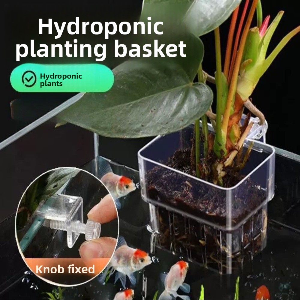 Cesta de Cultivo Hidropónico p - Aquarium Plant Grass reseña y precio