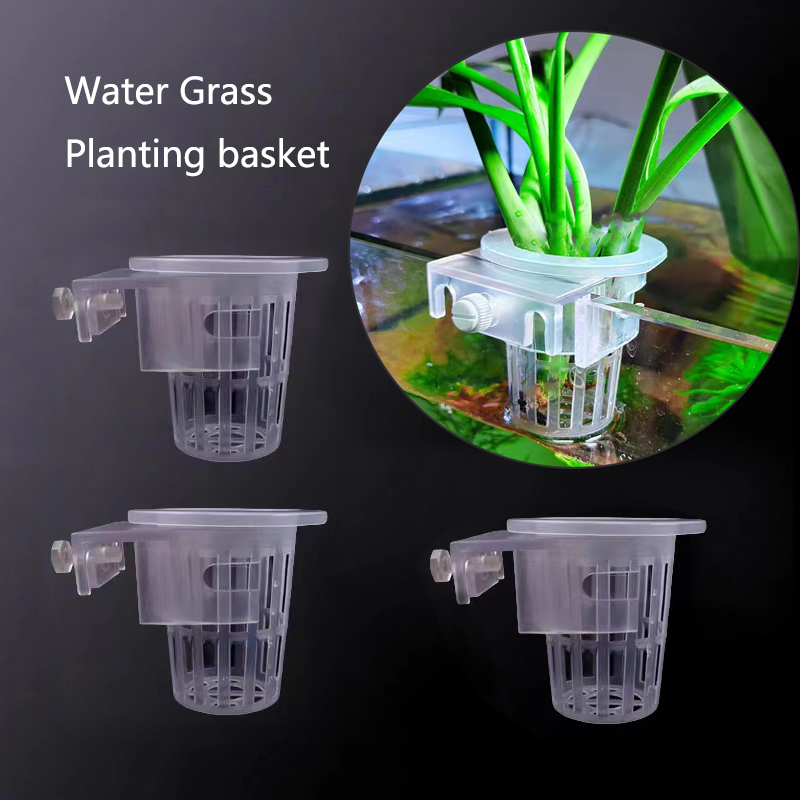 Cesta de plantación de acuario - Aquarium Planted Wall reseña y precio