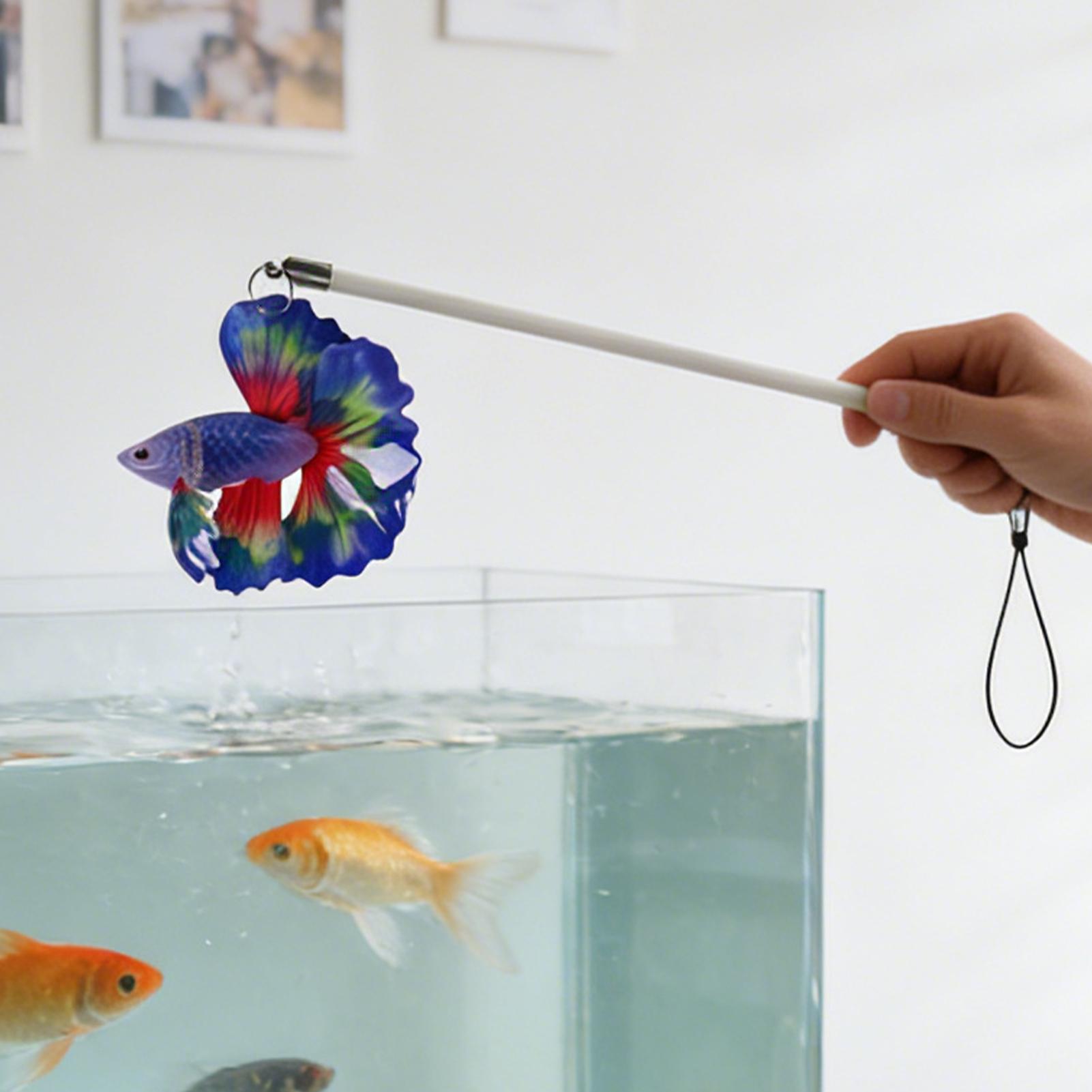 Varilla de entrenamiento para  - Planted Aquarium For Beginners reseña y precio