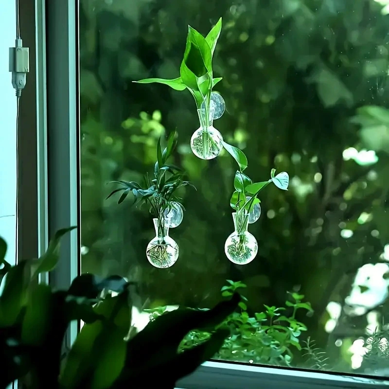 Florero montado en la pared de - Aquarium Planted Wall reseña y precio
